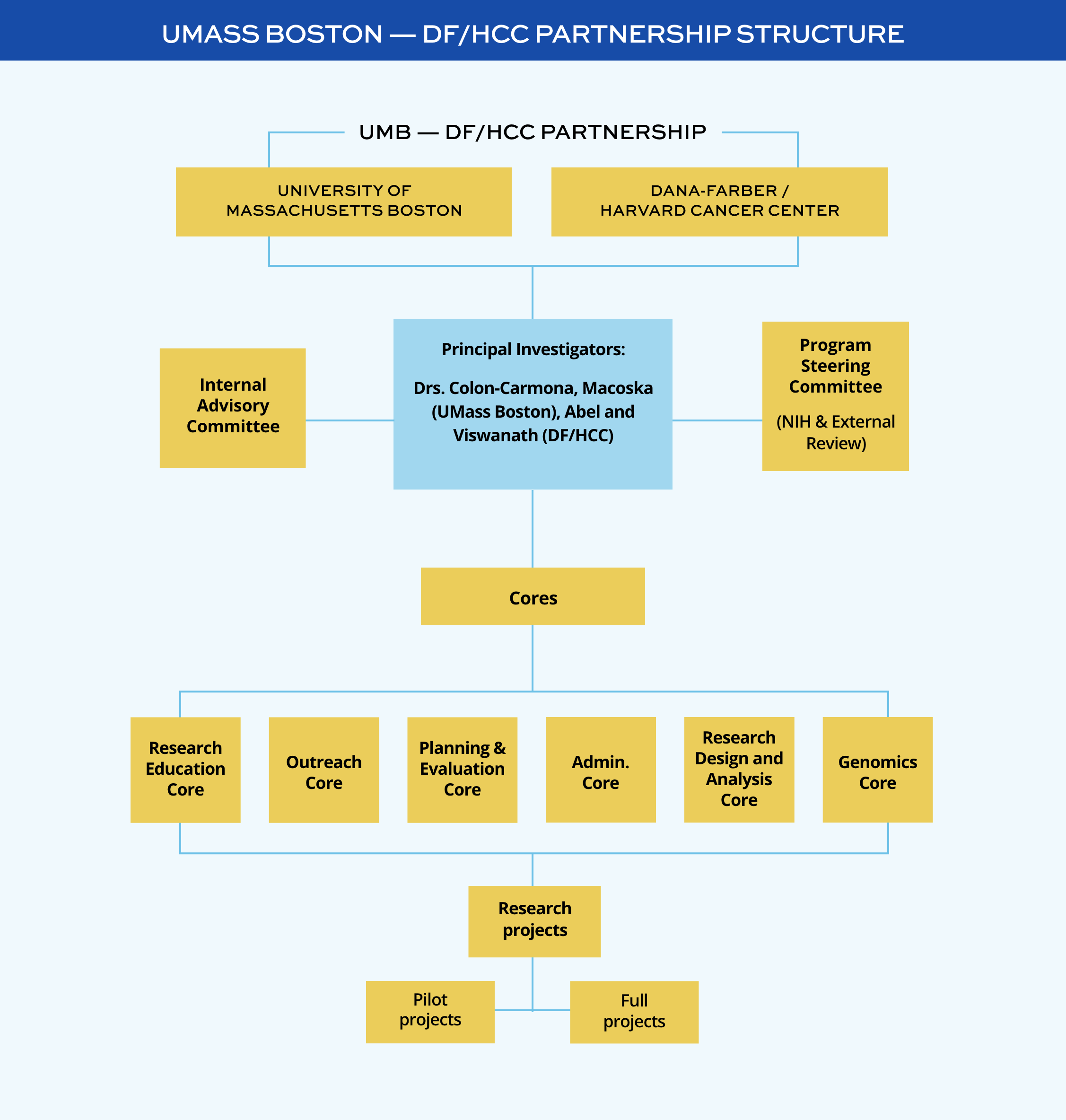 UMB-DFHCC org structure Image detailing structure of UMB - DF/HCC Partnership. The levels from top to bottom are: Level 1 - University of Massachusetts Boston and Dana-Farber/Harvard Cancer Center. Level 2 - Principal Investigators (Drs. Colon-Carmona, Macoska, Abel, and Viswanath), Internal Advisory Committee, and Program Steering Committee (NIH & External Review). Level 3 - Cores (REC, OC, P&E, AC, RDAC, GC). Level 4 - Research Projects (Pilot Projects and Full Projects)